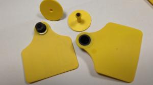 Wholesale Animal ID Custom Ear Tags Livestock Identifications Waterproof Structure Design from china suppliers
