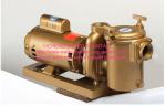 Brass swimming pool equipment Centrifugal Pump Big Filtration Sea Water
