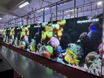 Rental P6 SMD Fixed RGB LED Display Advertising Screen Waterproof HD Working
