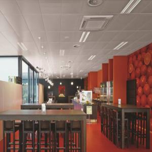 Wholesale Customized Aluminum Metal Clip In Ceiling For Library Wear Resistance from china suppliers