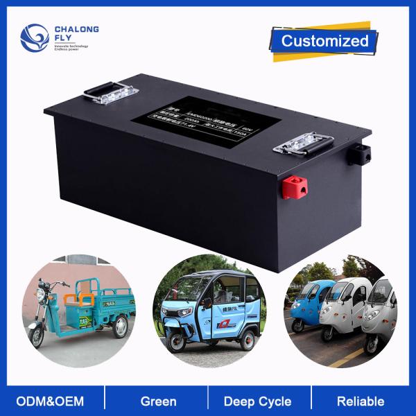 LiFePO4 Lithium Battery 80AH 120AH 300AH Customized 48V 60V 76V 96V Lithium-ion