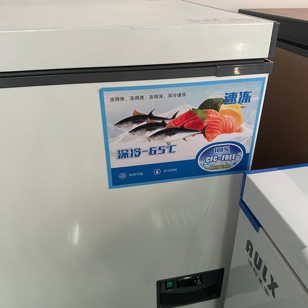 55c Ultra Low Temperature Single Door Stainless Steel Inner 90mm Super Thick