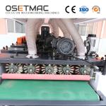 Frequency Control Automatic Brush Woodworking Sanding Machine