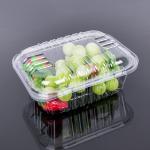 14cm Disposable Plastic Food Box