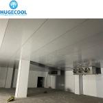 50mm PU Panel Thickness Cold Room Hinged Door for -10-0C Temperature Special