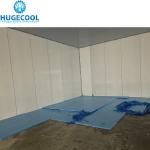 Walkin Cooler Cold Room Storage Cooling System for Fruit and Vegetable Nature