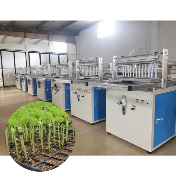 Auto Tray Seeding Sowing Machine With Trays for Vegetable Seed Sowing 28X54CM Plat Size
