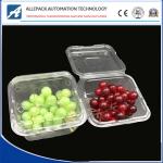 Blister Fast Food Disposable Plastic Containers Fruit Box Pet Plastic Fruit