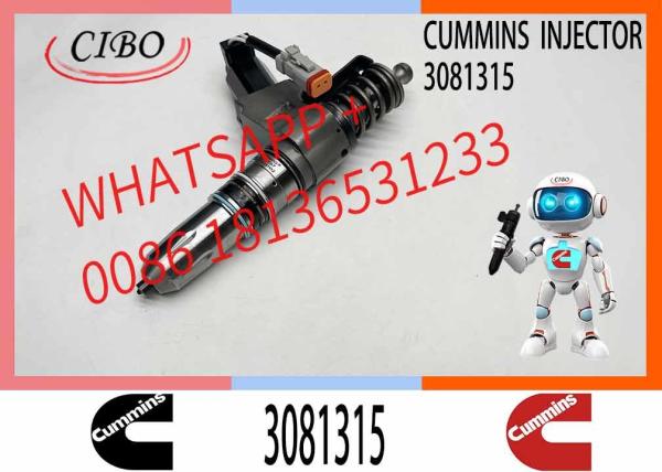 Diesel Fuel Injector 3081315 3073995F 3083846T 3083848F 3411766F 3080931F