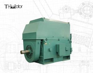 Wholesale 50hz Voltage Electric Motors IP23 - IP55 Rated Power Range Between 400kw and 6000kw from china suppliers