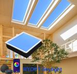 60x60cm Dali Panel LED Ceiling Panel Light Dimmable CCT Color Changing