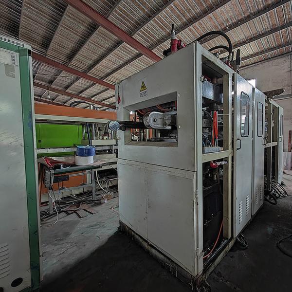 Industrial Plastic Thermoforming Machine Disposable Plastic Tea Cup Thermoformin