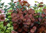 Indoor Outdoor Artificial Tree Branches Faux Loosestrifes Plant Feel Good