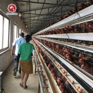 Wholesale 1800x1200x2140mm Battery Egg Hens Poultry Cage 144 Birds/Set from china suppliers