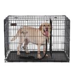 Large Welded Strong Metal Dog Crate Non Toxic Coating Rust Resistant
