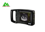 Digital Veterinary Portable Palm Ultrasound Scanner For Big Animal Use
