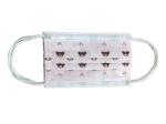 GBT32610-2016 Cleanroom Children's Disposable Face Masks