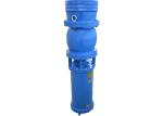Horizontal / Vertical Tilting Install Submersible Axial Flow Water Pump Non