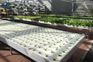 Wholesale Flood Drain Ebb Flow Greenhouse Seedling Trays Movable Seedbed Raised Bed Planter from china suppliers