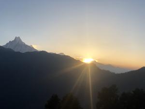Wholesale Autumn Spring 8 Day'S Annapurna Panorama Trek / Trekking Holidays In Nepal from china suppliers