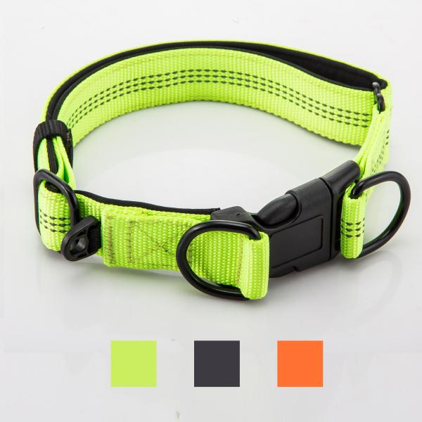 Adjustable Double D Buckles Dog Collar And Leash Set Chain Dog Nylon Lead