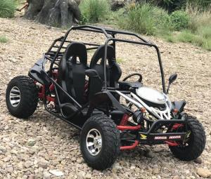 Wholesale 250cc Single Cylinder 4 Stroke Cdi Ctv Go Kart Buggy With 1 Forward Transmission from china suppliers