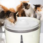 WIFI Smart Automatic Pet Water Fountain Silent Drinking Water Dispenser