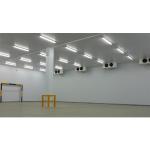 Good Quality Small Cold Storage Room for Fish Meat