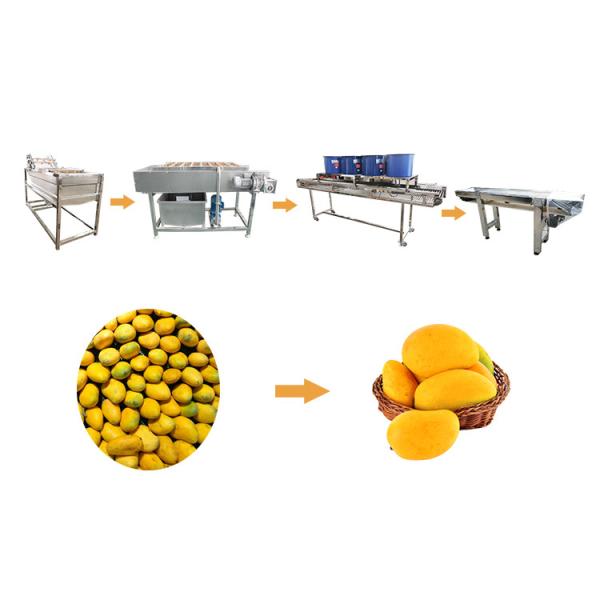 Hot selling Good Quality Industrial Vegetable And Fruit Washing Machine by