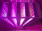 120KWH Per Day Hydroponic Shipping Container Insulation Microgreen Growing