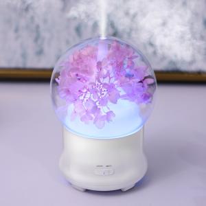 Wholesale Real Flower ultrasonic essential oil humidifier aromatherapy diffuser with usb GK-FL01 from china suppliers