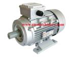 Y2 Series Electric Motor for Pump and Blower with High Efficiency Energy Saving