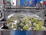 Professional Grade Fruit and Vegetable Washing Machine for Large Scale