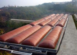 Wholesale Customized Bio Digester Tank Improve The Environment Household Anaerobic Manure Digester from china suppliers