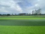 60mm Football Ground Artificial Grass Carpet Environment Friendly