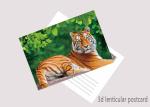 Promotion Cartoon 3D Lenticular Postcard / Flip Lenticular Image Printing