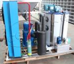 30 Tons Freshwater Flake Ice Machine 220V Automatic industrial