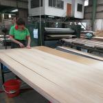Natural Red Oak Wood Veneer Fancy Mdf / Chipboard Straight Grain For Cabinet