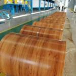 PPGI &PPGL coil