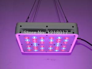 Wholesale 200w Apollo 4 Full Spectrum Led Grow lights with CE Rohs approved from china suppliers
