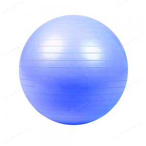 Wholesale Balance Trainer 25cm 9.8 inch Yoga Ball Exercise Equipment Anti Burst from china suppliers