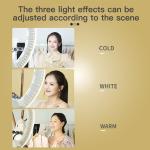 100W Selfie Tripod Ring Light FD-640II Video Photography 10000lm Makeup Video