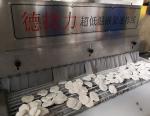 DJL Food Vegetable Cooling Conveyor Freezing Machines Factory Price Commercial