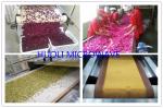 Auotmatic Microwave Dehydrator For Green Tea , Black Tea , Moringa Leaves