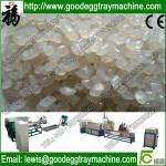 PE/EPE/LDPE Plastic Recycling Machine