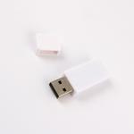 Plastic USB Stick Full Memory Graded A Quality USB 2.0/3.0/3.1 1G-1TB Reading