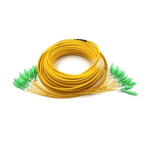 Wholesale SC/APC 12 Fibers Pre Terminated Multi Fiber Cables Break Out Distribution 2.0mm Break Out Legs from china suppliers
