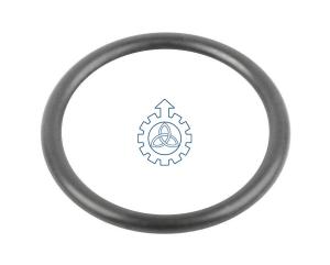 Wholesale O-ring 17916385 from china suppliers