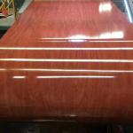 Cold Rolled Prepainted PPGI Steel Coil DX54D S220GD S250GD Galvanized 3mm