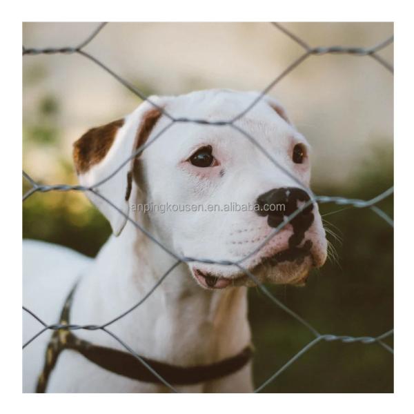 Hot Dip Galvanized 0.7mm Hexagonal Mesh for Security Fence and Field Farm Animal
